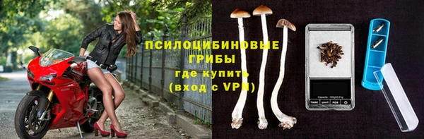 тгк Корсаков