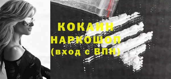 мдпв Карпинск