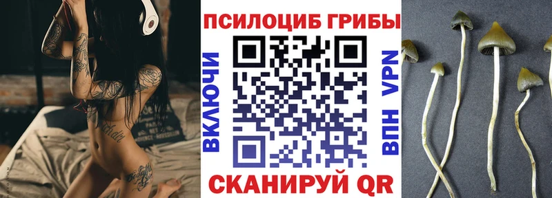 Галлюциногенные грибы Cubensis  Купить  Козьмодемьянск 